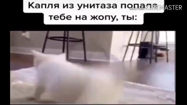 Когда капля из унитаза Попала тебе на #ОПУ смотреть онлайн