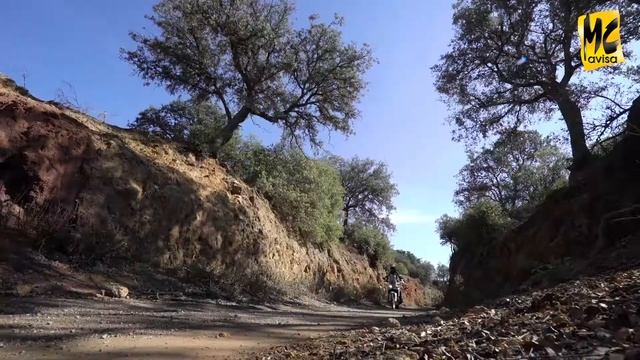 2018 Honda Africa Twin CRF1000L TEST RIDE (Adventure Sports) смотреть онлайн