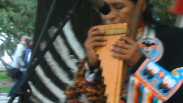 DSCN4980 Индеец у Эрмитажа. смотреть онлайн