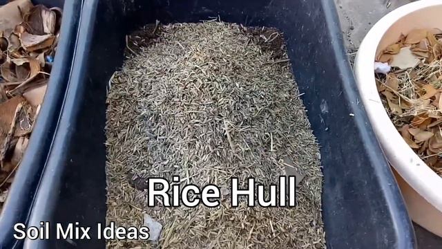 SOIL MIX FOR PHILODENDRON SYNGONIUM POTHOS AND OTHER TRAILING PLANTS смотреть онлайн