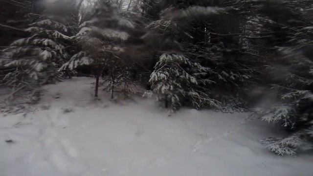 Охота на зайца с гончей. смотреть онлайн