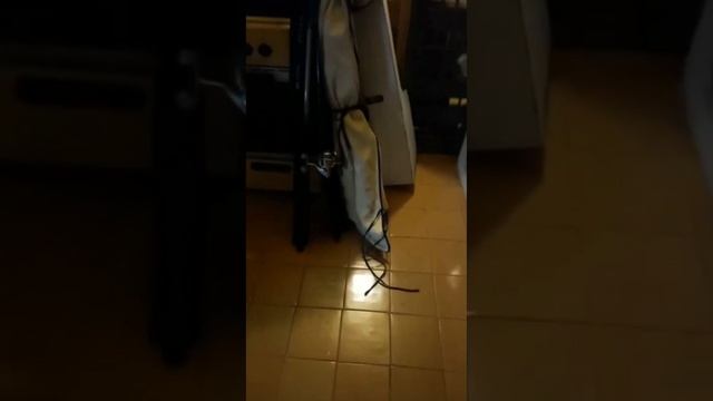 На рыбалку!#рыбалка #рыбак #летнийотдых #пенсионеры #рукопашныйбой #