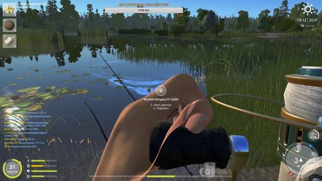 Русская Рыбалка 4 \\ Медвежка \\ Усач обыкновенный смотреть онлайн