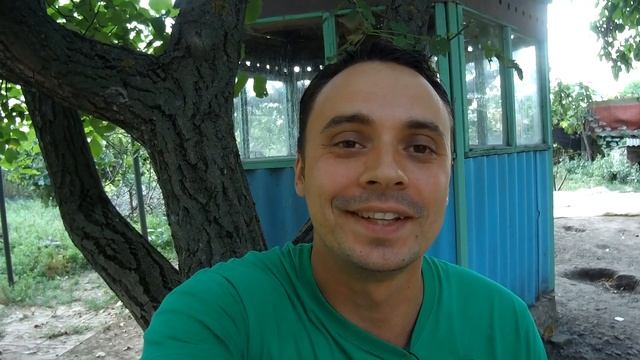 КУПИЛ МИЦЕЛИЙ КОРОЛЕВСКОГО ШАМПИНЬОНА И ШАМПИНЬОНА ГИГАНТСКОГО смотреть онлайн