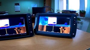 Сравнение эхолотов Lowrance Elite FS и Ti2. Есть ли разница в картинке между FS и HDS Live?
