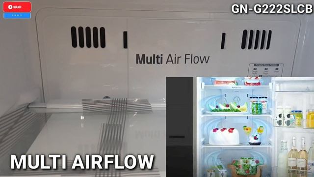 GN-G222SLCB || Lemari Es LG 2 Pintu Hemat Listrik Door Cooling