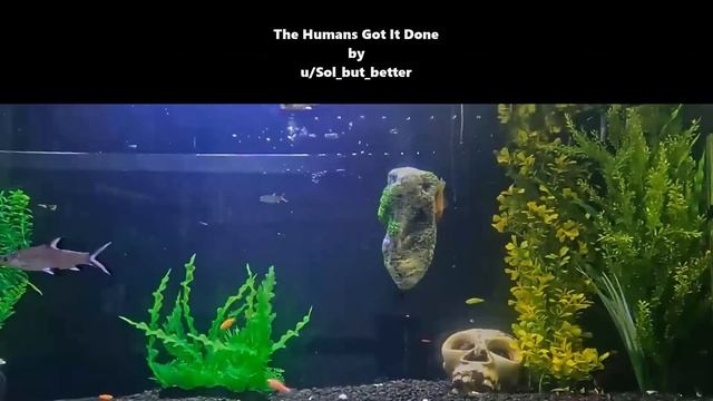 Best SciFi Storytime 1607 - Saved by First Contact with humans & The Humans Got It Done | HFY смотреть онлайн