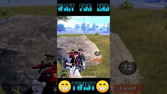Wait For End || Twist For End ? || Coffin Dance || #short #youtubeshort #pubgmobile смотреть онлайн