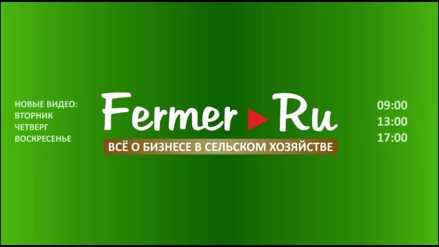 Дороги Дагестана От Камилуха до Тляраты за 15 минут смотреть онлайн
