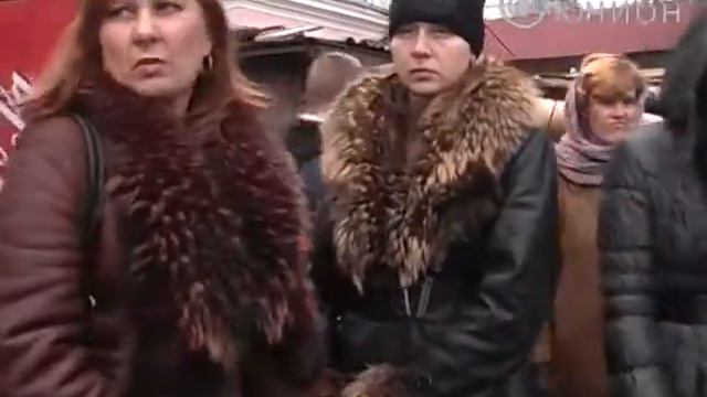 Экологическая инспекция вышла на поиски первоцветов