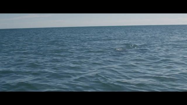 reefstalked_trailer_1280.mp4 смотреть онлайн