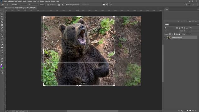 Photoshop Maße und Bildgröße ändern Lineal Maßeinheit anpassen Tutorial deutsch [2022] смотреть онлайн