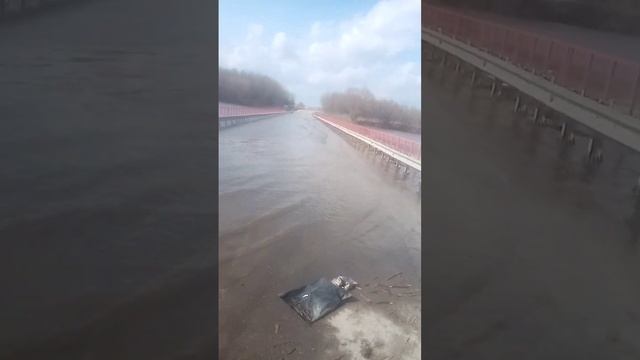 Пагареловский мост затопления по вине подрядной организации которая взяла ответственность за работу смотреть онлайн