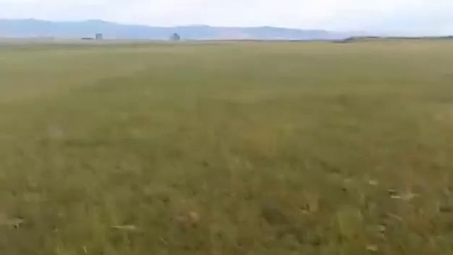 Беги без оглядки смотреть онлайн