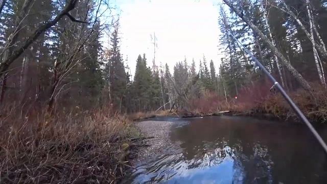 Рыбалка на ХАРИУСА Осенью / СЕКРЕТНАЯ Речка в ТАЙГЕ бешенный КЛЁВ на УДОЧКУ!!! смотреть онлайн