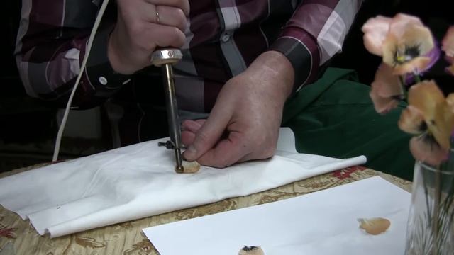 Анютины глазки урок 1 смотреть онлайн