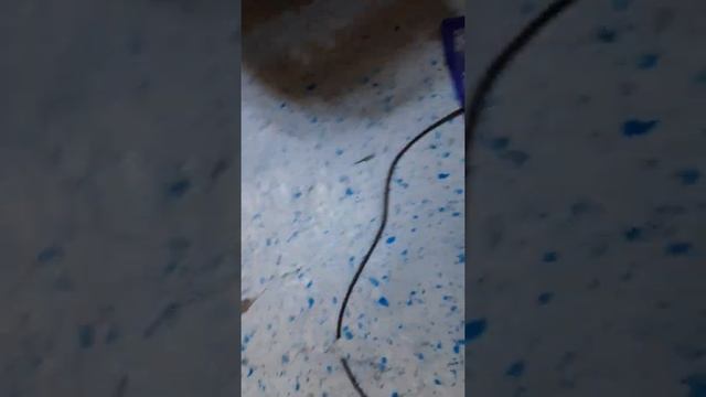 Power Inverter 4000 Watts Review 12v DC- 240v AC(brown Out No More)