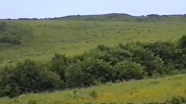 остров Рейнеке лето 1995 как мы отдыхали.. смотреть онлайн