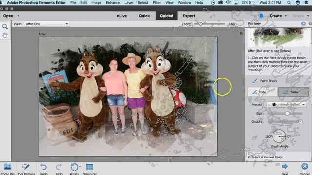 Adobe Photoshop Elements 15 Painterly Edit смотреть онлайн