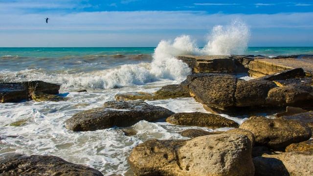 Зачем Сталин хотел осушить Каспийское море смотреть онлайн