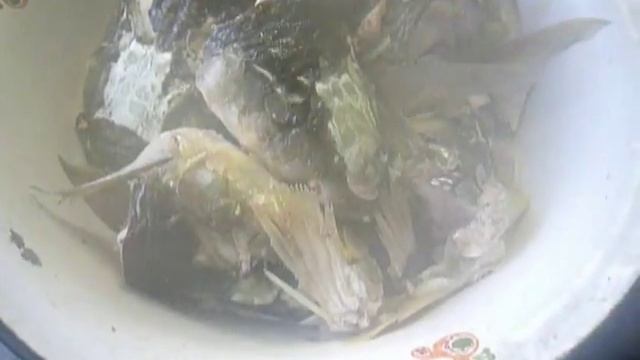 Уха . Уха из рыбьих голов смотреть онлайн