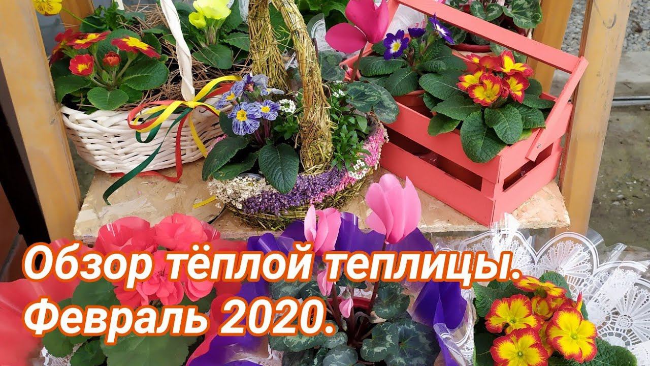 Обзор тёплой теплицы. Февраль 2020. смотреть онлайн