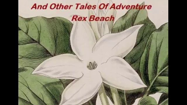 The Crimson Gardenia And Other Tales Of Adventure 2/2 - Rex Beach [Audiobook ENG]