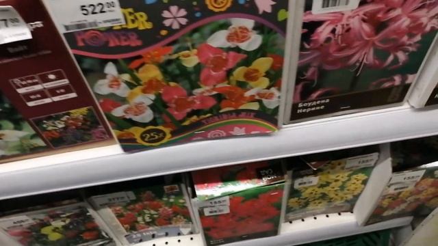 БОЛЬШОЙ ВЫБОР РОЗ, ПИОНОВ, ПРИМУЛЫ, ГЕОРГИН и т. д. В ЛЕРУА МЕРЛЕН смотреть онлайн