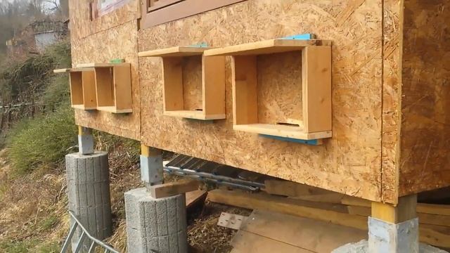 Пчёлы, Апидомик, Германия 10.03.18 смотреть онлайн