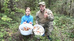 Сбор грибов с дочкой. Ведро груздей за час. Выход в тайгу.