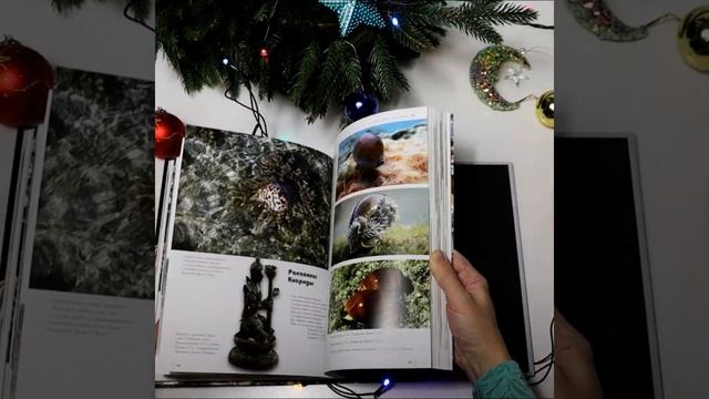 Книга О чём поют ракушки Рудольф Буруковский и Марина Подольская