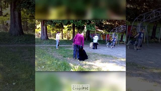 Гарри Поттер из Весенней Сказки - Гуляем смотреть онлайн