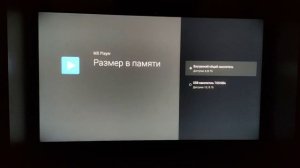 Как увеличить встроенную память на телевизоре SONY XH9505