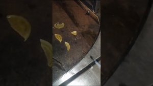 Эпоксидная смола. Температура плавления.