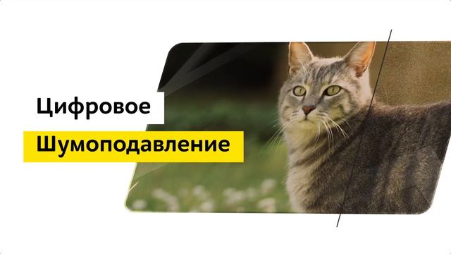 Телевизор Samsung UE43NU7097U смотреть онлайн