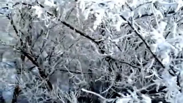 С НОВЫМ ГОДОМ !!! смотреть онлайн