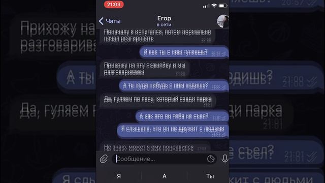 фонареголовый стал моим другом и я об этом пожалел смотреть онлайн