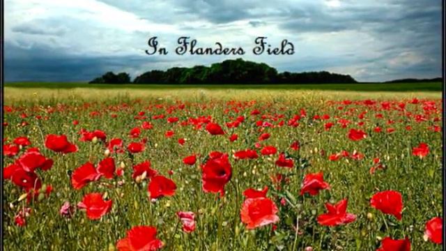 In Flanders Fields- war will never end смотреть онлайн