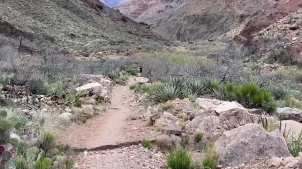 Grand Canyon Double Crossing: Rim to Rim to Rim