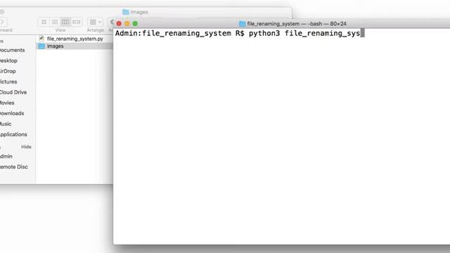 File Renaming System (Python) смотреть онлайн