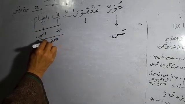 learn quran/Grammatical analysis of ayat 72-78/surah AL rahman смотреть онлайн