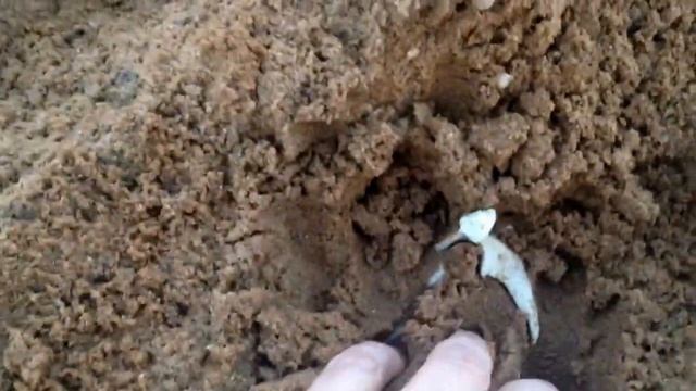 Найден скелет в Орехово-Зуево смотреть онлайн