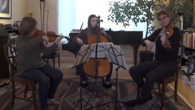 Garth Lee, Luthier - Violin Maker смотреть онлайн