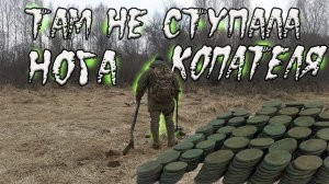 ТУТ НЕ СТУПАЛА НОГА КОПАТЕЛЯ.  ВСЕ ВЕЗДЕ ЗВЕНИТ, МОНЕТ ПОЛНО.