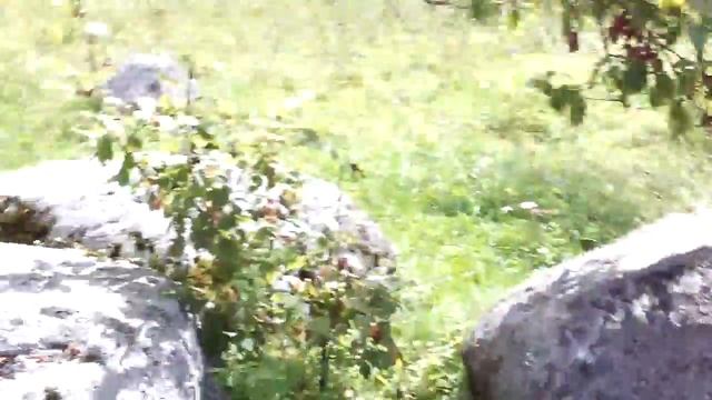 г. Валдай - Иверский монастырь, часть 1 смотреть онлайн