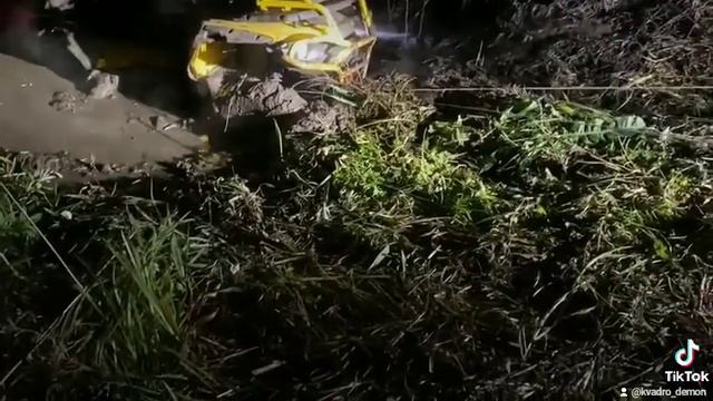 Болт.доктор дью озвучка.стелс в болоте.квадроцикл. смотреть онлайн