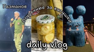 Новый ежедневный уютный влог /Попали на концерт Газманова/ заготовки огурцов .
