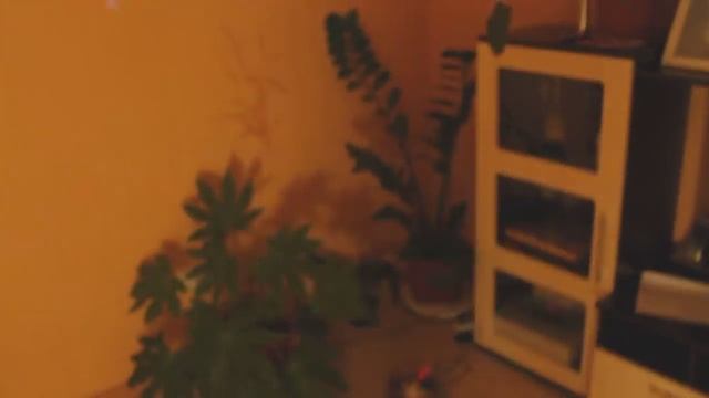 Диско-шар, дискотека смотреть онлайн