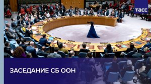 Заседание СБ ООН