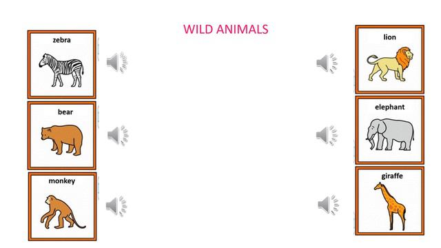 ANIMALS WILD DOMESTIC